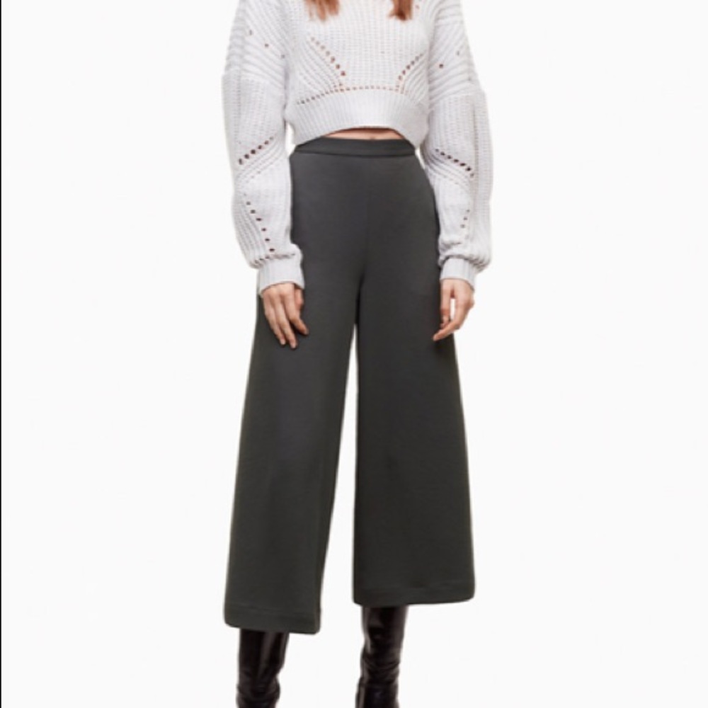 Aritzia Wilfred Pant